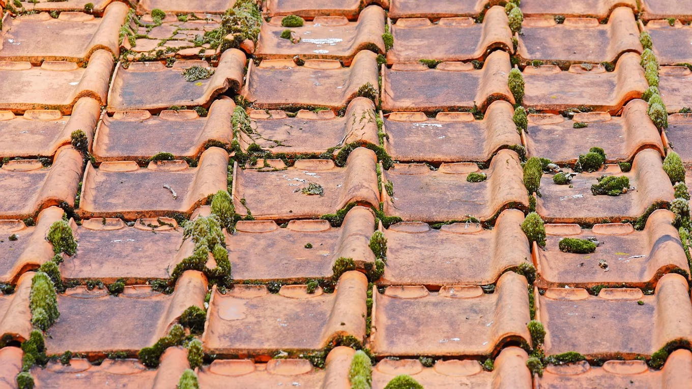 🏠 Isoler sa toiture : un levier prioritaire pour une maison plus économe et confortable